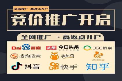 实战解析：SEO与SEM结合案例研究
